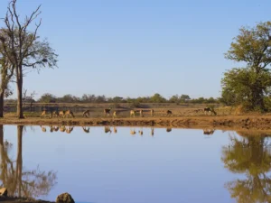 Sudáfrica espectacular - Itinerario 7 días